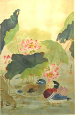 ducks