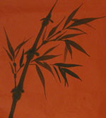 bamboo