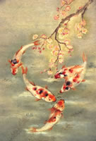 carps